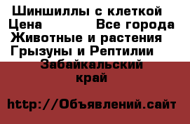 Шиншиллы с клеткой › Цена ­ 8 000 - Все города Животные и растения » Грызуны и Рептилии   . Забайкальский край
